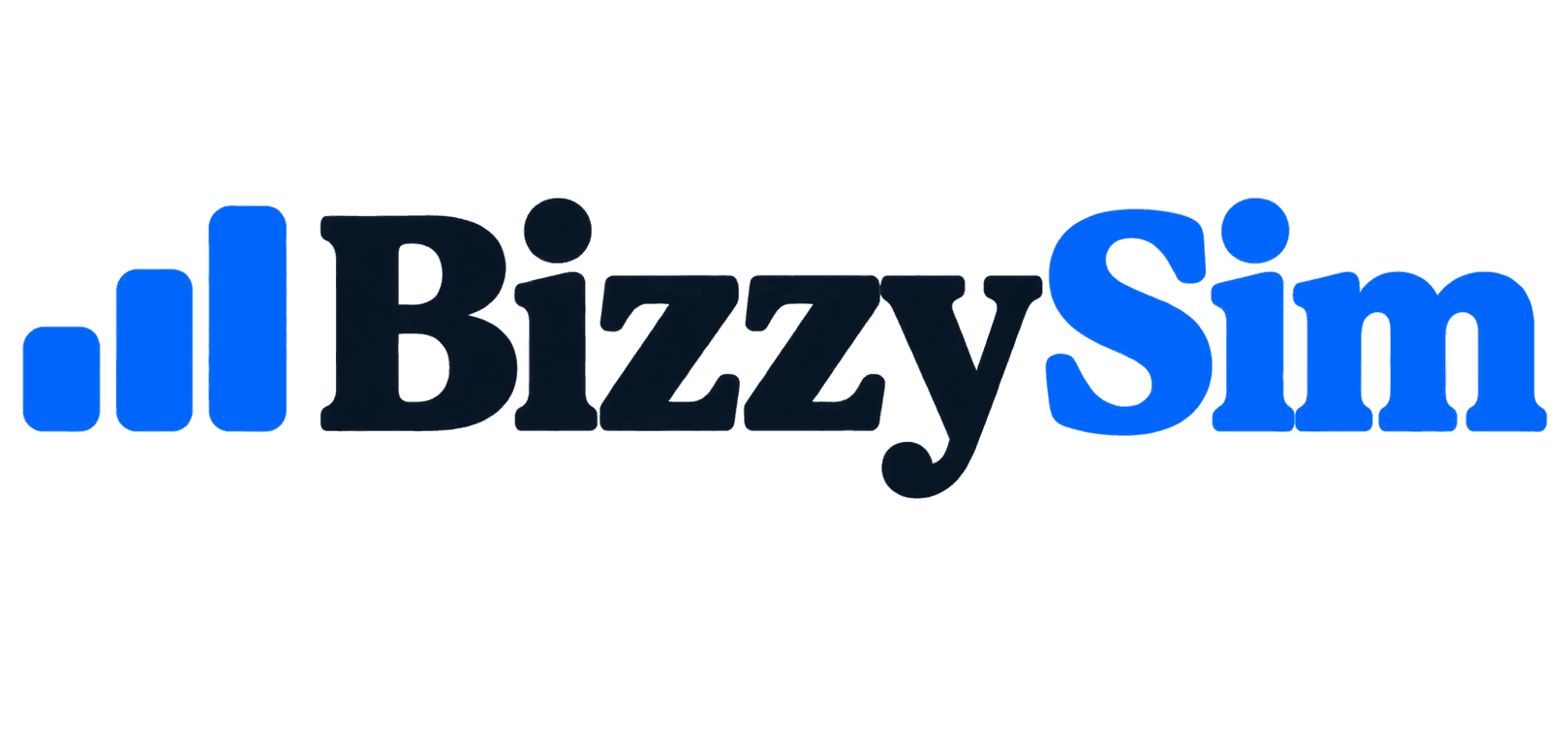 BizzySim